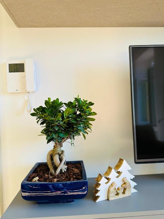 Alocasia Luxury Stay Salerno Esterno foto